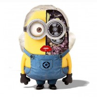 /album/renato-vasconcelos-imvu/a74775-567859963271735-1689510865-n-jpg/